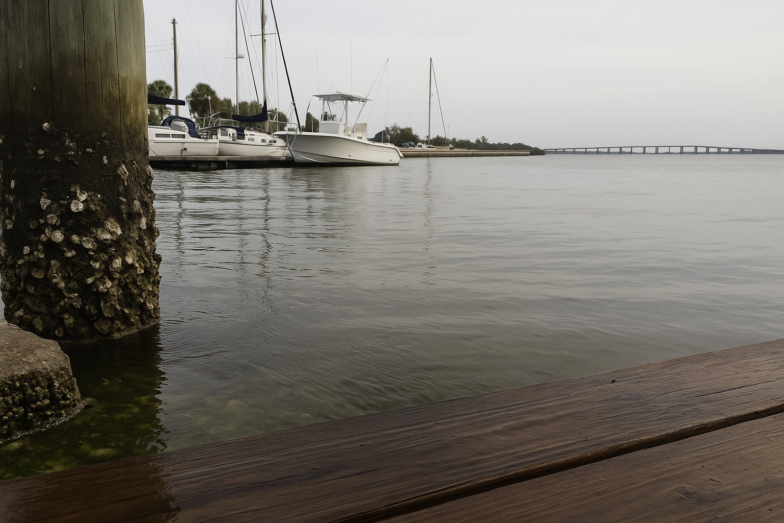 Why Two Space Coast Buyers Pay Different Flood Premiums: CRS Discounts by City,Brianna Lalumiere